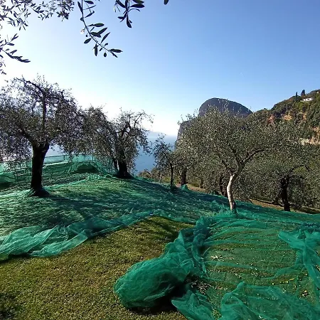 Prázdninový dům Casetta Delle Olive Tremosine