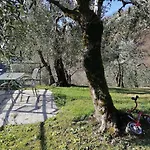 Casetta Delle Olive Дом отдыха *