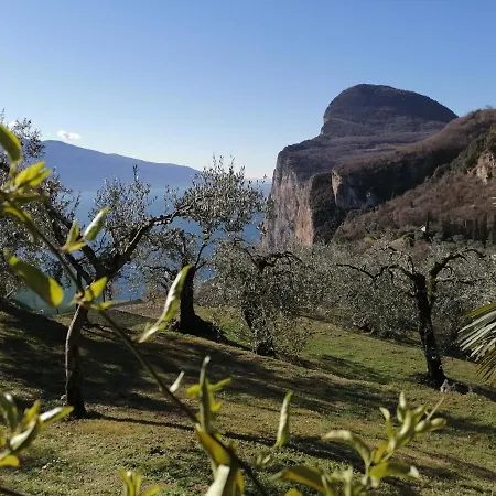 Casetta Delle Olive Tremosine