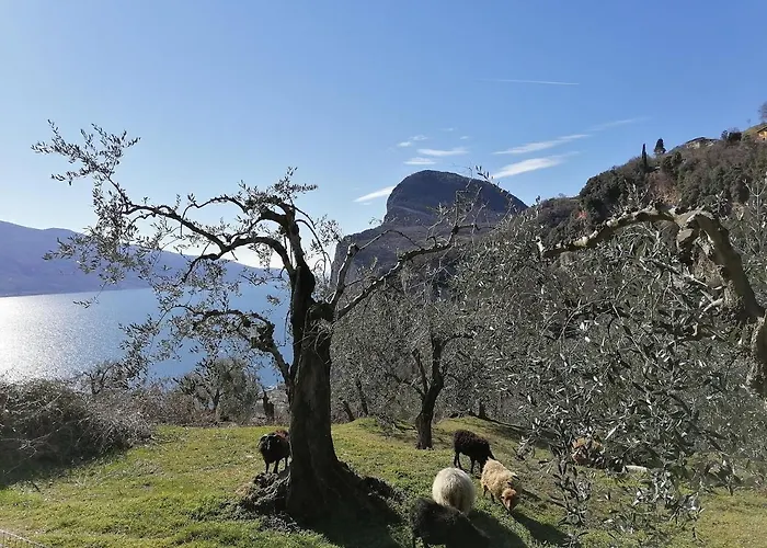 Casetta Delle Olive Tremosine