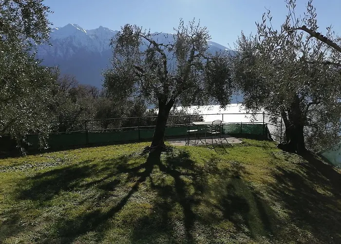 Casetta Delle Olive Hébergement de vacances