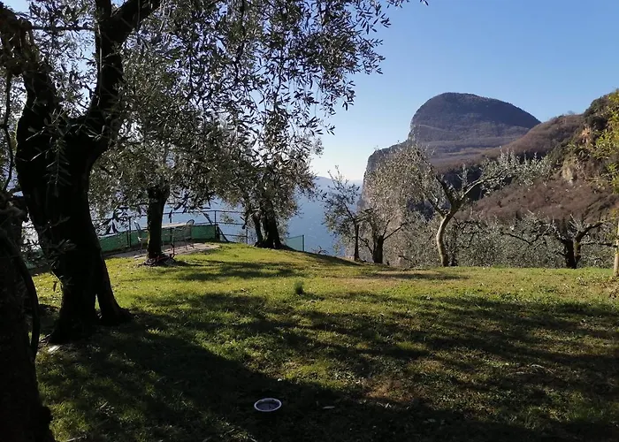 Casetta Delle Olive *