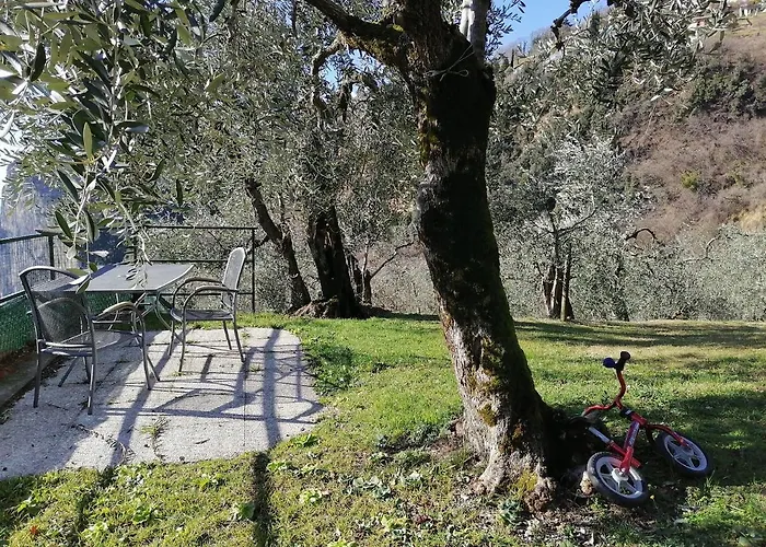 Casetta Delle Olive Hébergement de vacances *