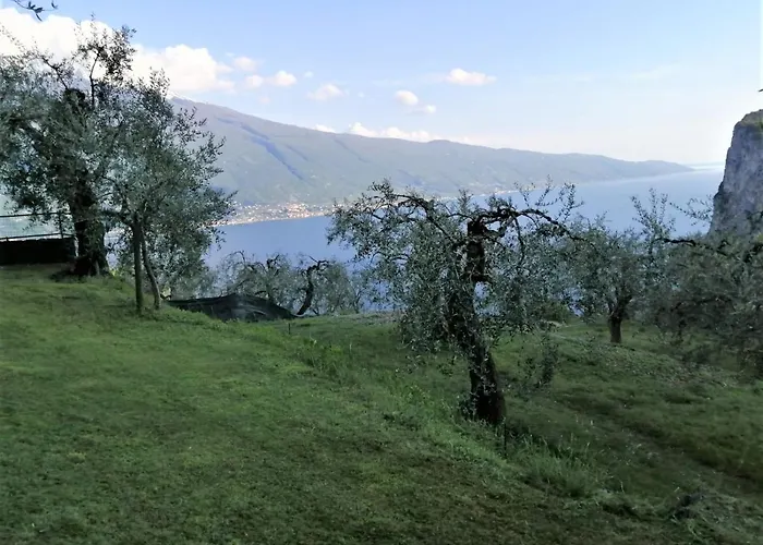Casetta Delle Olive *