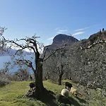 Casetta Delle Olive Tremosine