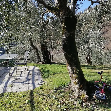 Casetta Delle Olive Dom wakacyjny *