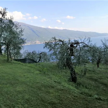 Casetta Delle Olive *